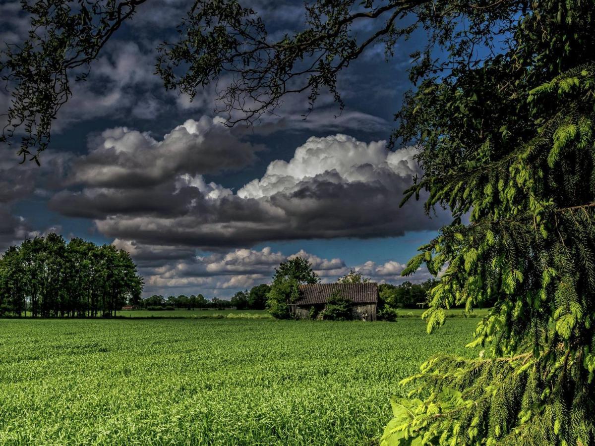 Staying In A Thatched Barn With Box Bed Beautiful View Region Achterhoek Geesteren  Buitenkant foto