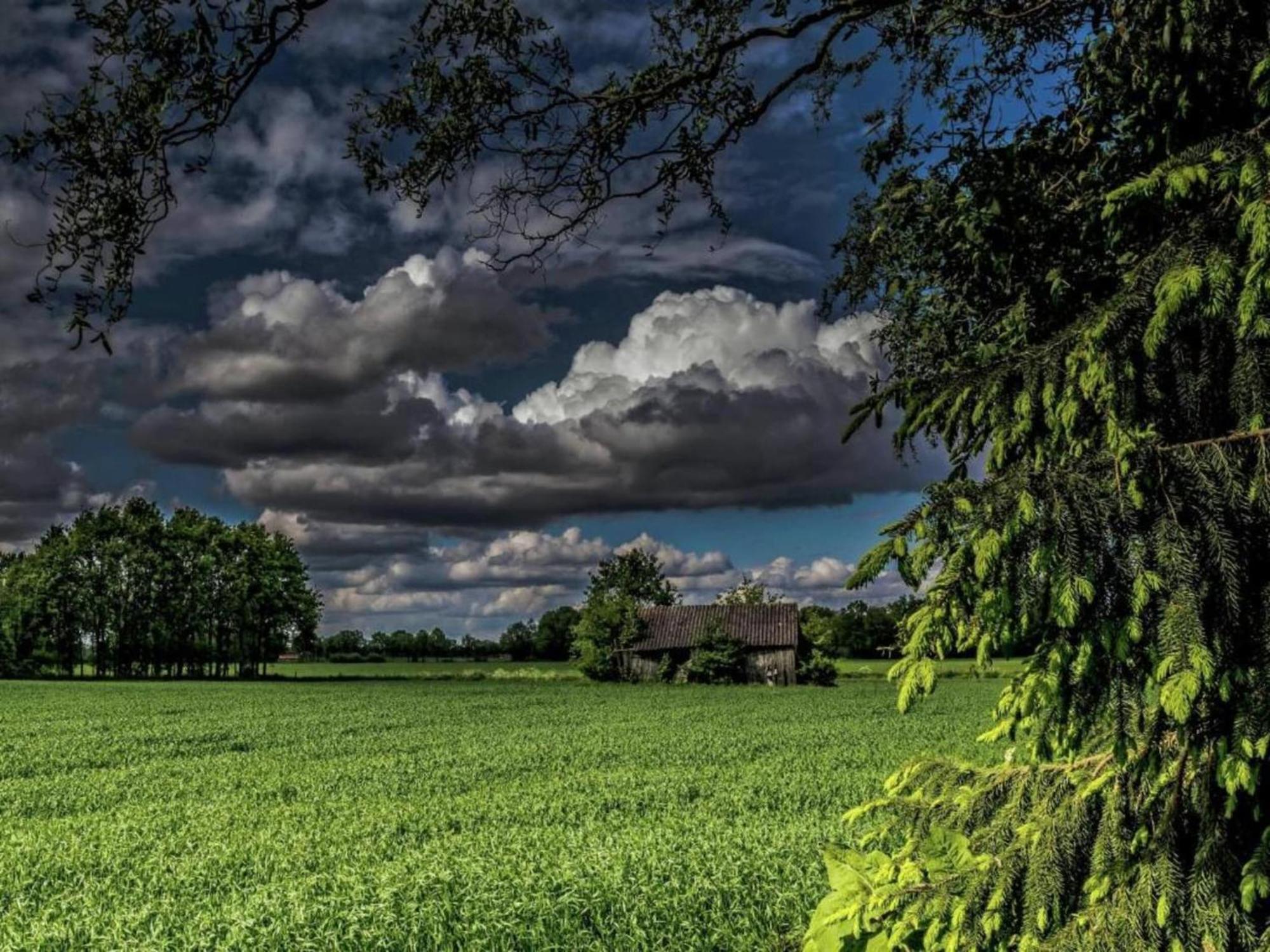 Staying In A Thatched Barn With Box Bed Beautiful View Region Achterhoek Geesteren  Buitenkant foto